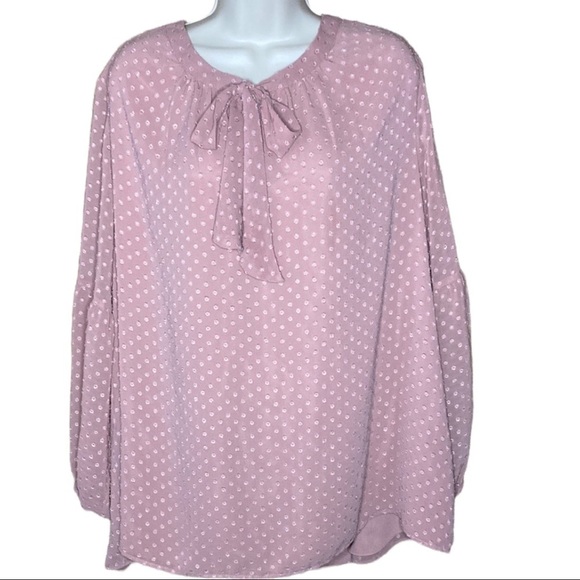 Black Rainn | Blush Polka Dot Blouse Neck Bow Tie Chiffon Overlay Plus Size 2X - Picture 1 of 6